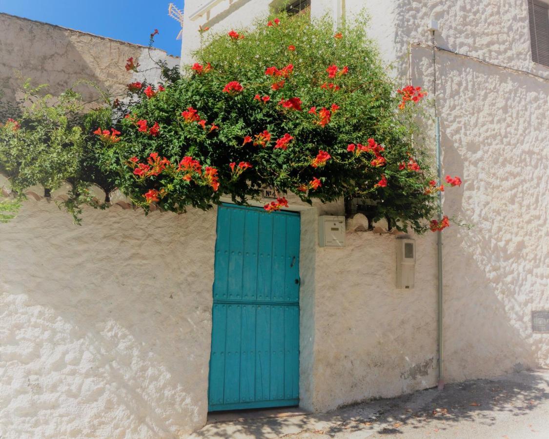 Bed and Breakfast Casa Del Patio Пинос-дель-Валье Экстерьер фото